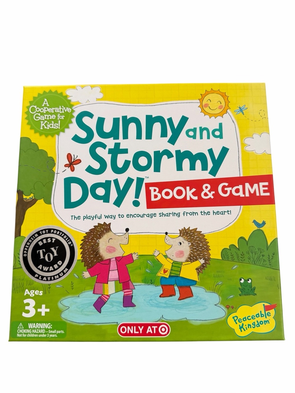 Sunny and Stormy Day: Social Emotional Learning Game,Matching & Sharing Activity